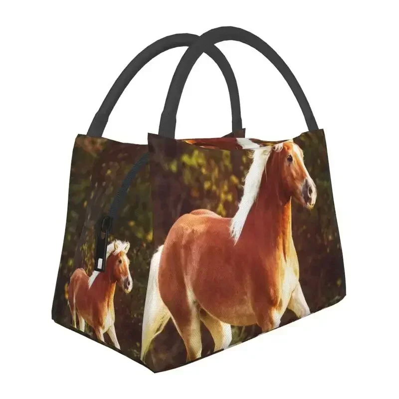 Bolsas de almuerzo con aislamiento térmico de caballo Haflinger, contenedor reutilizable de animales para mujer, caja de comida multifunción para viajes y acampada