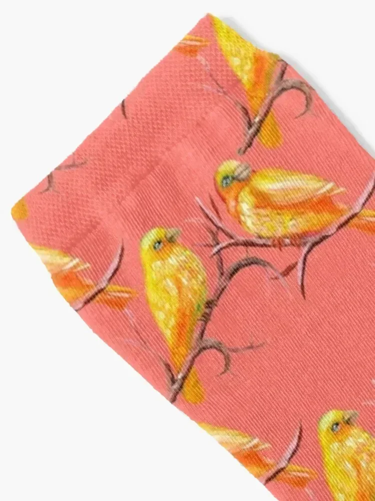 Two Painted Canaries Pattern Socks Run basketball Boy Child Socks Women's