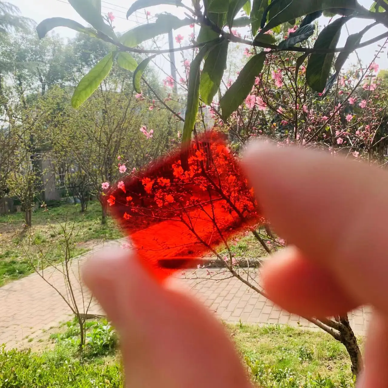 Size 18x23x3mm 590nm Red Light Pass IR Filter Glass CB590 For Infrared Photography
