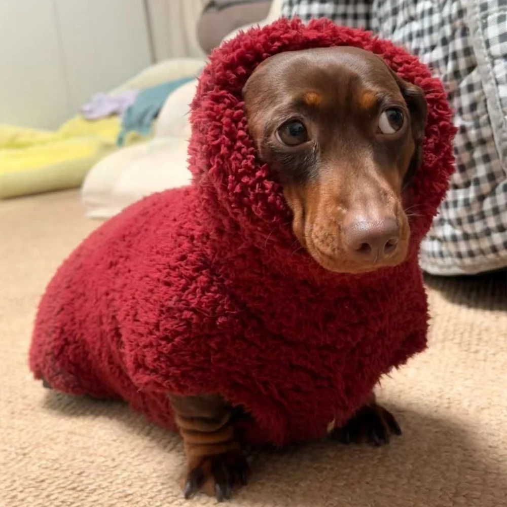 Abrigo Rojo de Cuello Alto para Perros Dachshund, Chaqueta Cortavientos con Mangas Cálidas para Perros Salchicha, Ropa Suave para Perros Salchicha