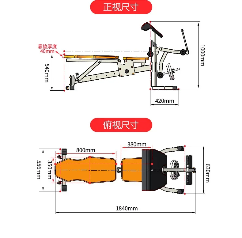 Ultra High Quality Adjustable Dumbbell Fitness Bench for Body Building Train with Confidence Foldable Durable Weight Bench