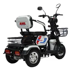 Best price Electric tricycle 650W 500W motor 3 wheel trike for adult passenger and cargo carry with CE