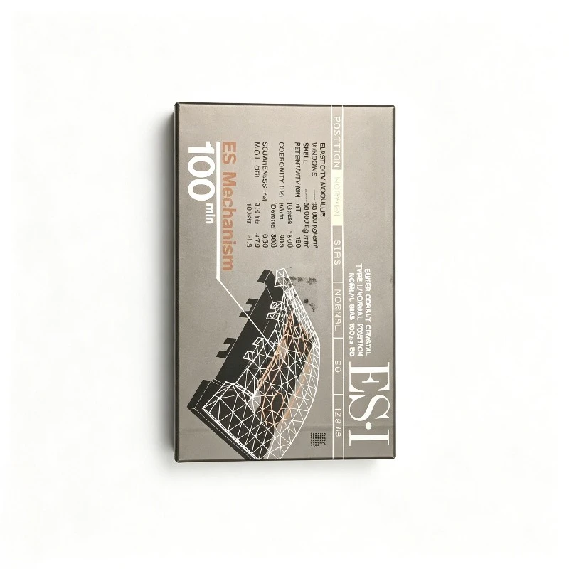 100% Original New For Sony ESI 100min JP 1992 Mid Grade Type I Blank Cassette For Recording Duplication & Voice Record Gift
