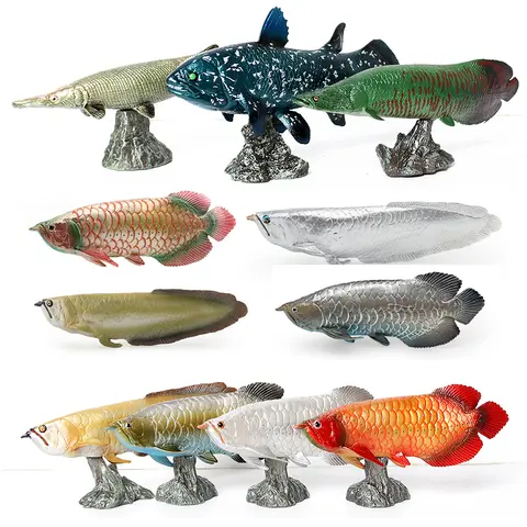 Simulation Pirarucu Arowana Coelacanth Alligator Gar Barred Bichir Fish   Figures Model with Base Statue Figurine Ornament Toys