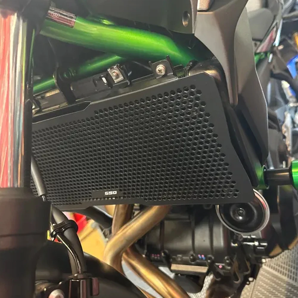 Radiator Grille Gua… - image