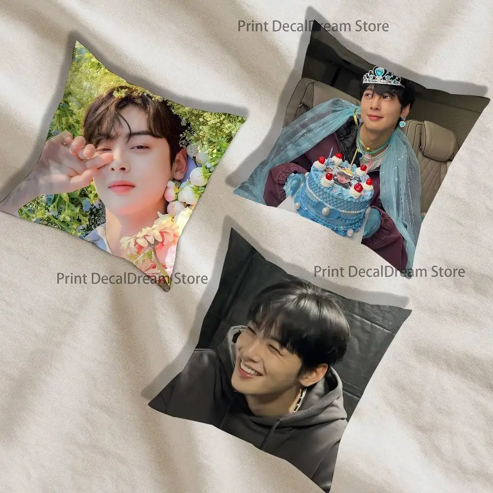 

Cha Eun Woo Pillow Case Ultra Soft Skin Friendly Fabric Cloud Like Comfort & Concealed Zipper