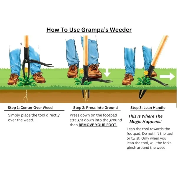 Grampa's Weeder - The Original Stand Up Weed Puller Tool with Long Handle - Made with Real Bamboo & 4-Claw Steel Head Design