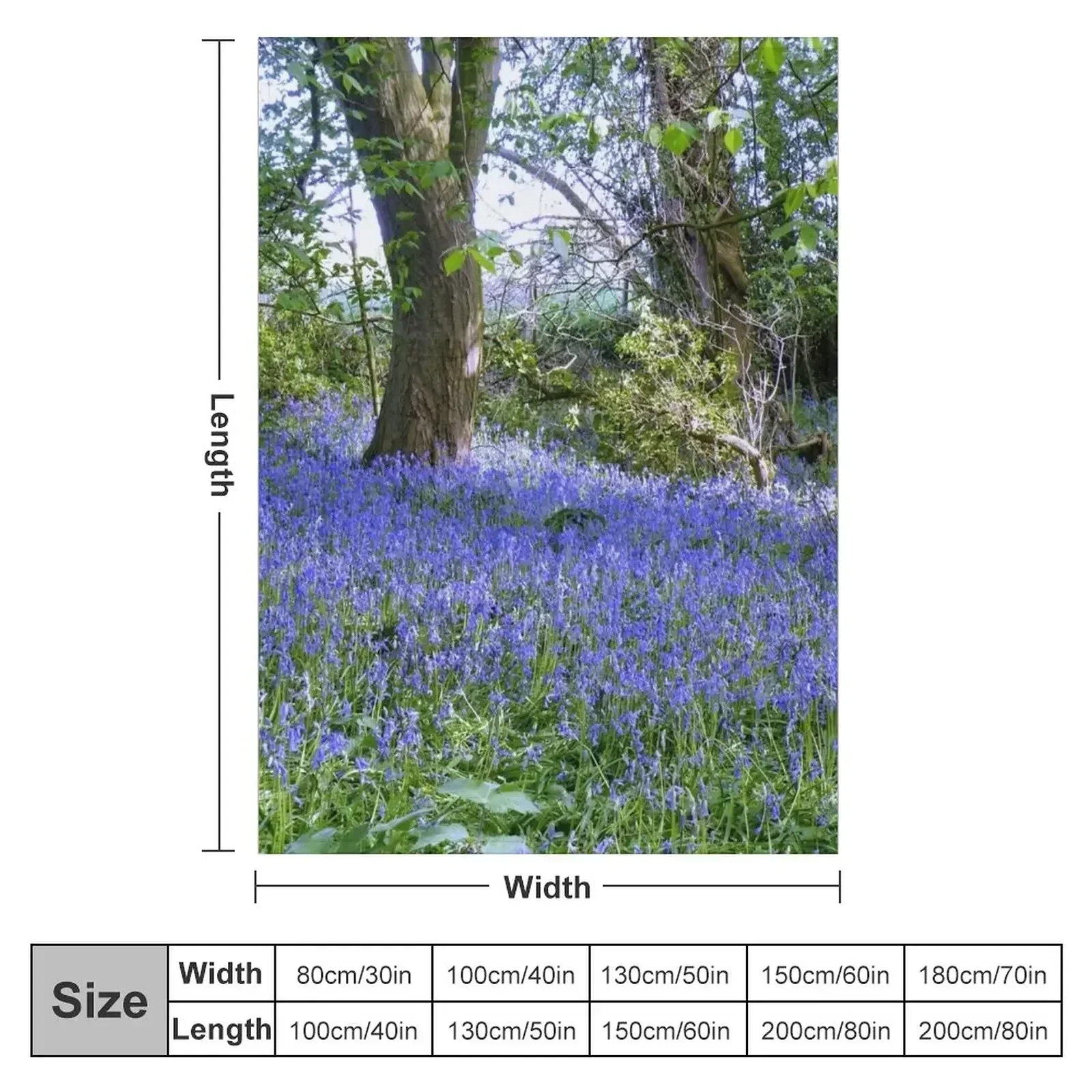 Natures Garden : BlueBell Woods Throw Blanket Winter beds Tourist Shaggy Blankets For Sofas Blankets