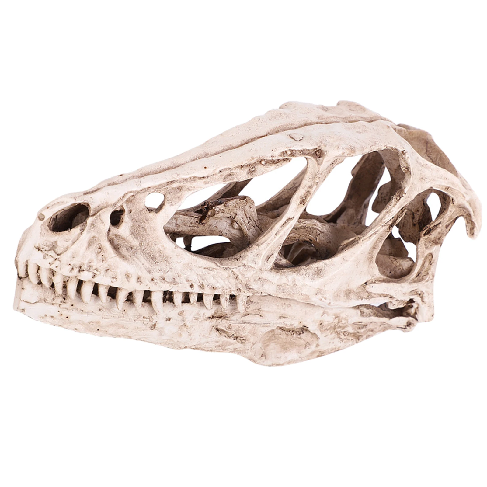 Resin Dinosaur Skull Model Simulated Animal Skeleton Home Office Decor Craft Teaching Prop