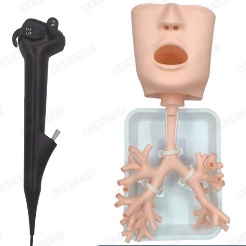 Bronchial Lung Endoscopy Training Model, Fiber Electronic Bronchial Tree Training Simulator, Intervention Level 4 Practice