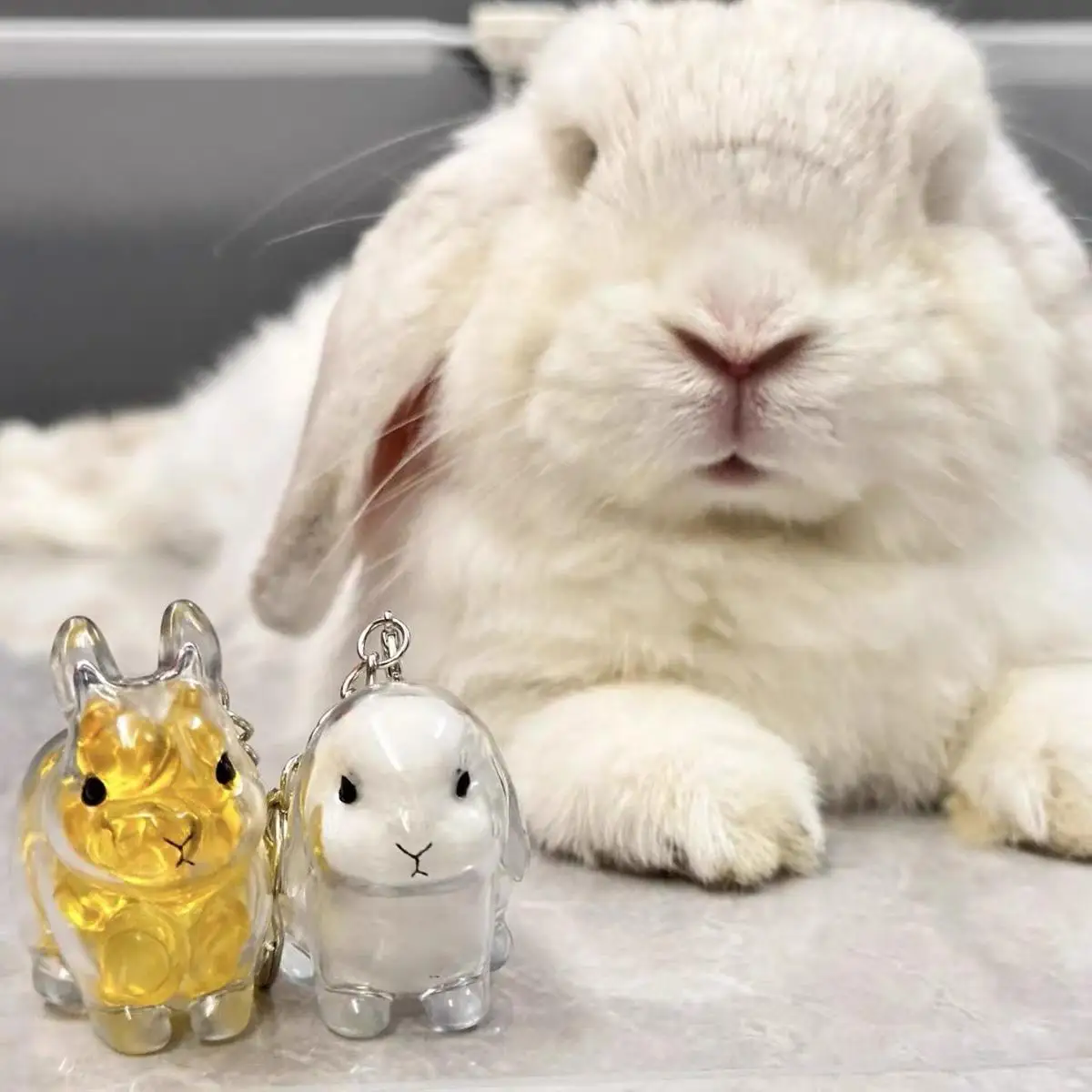 Cute Rabbit Shape Transparent Rabbit Fur Storage Box Hair Storage Pendant Keychain Transparent Pet Fur Keepsake Capsules