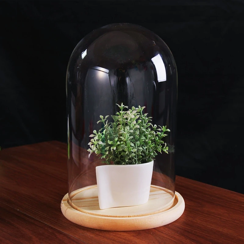 

Diameter=25cm Height=25cm 30cm 35cm 40cm 45cm Glass Dome Home Decoration Log Base Transparent Cover Friend Birthday Favor Gift