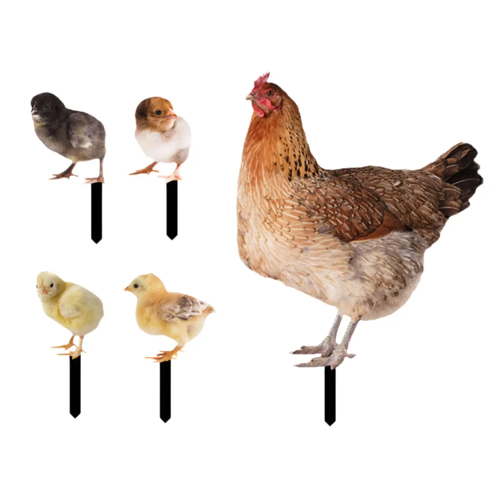 5x Hen Statue Garden Stakes Metal Animal Sculptures for Patio Lawn Outdoor