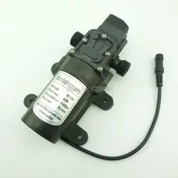 DC 12 volt 24 volt 60W 5L/min small water pump Automatic pressure switch with dc plug