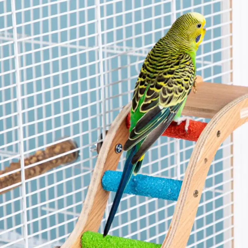 Thumbnail 4 - #34 Best Bird Ladders & Perches to Buy In 2026