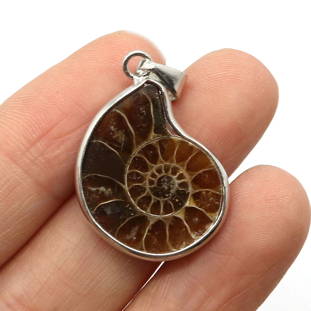 Natural Stones Pendants Necklace Ammonite Seashell Snail Ocean Reliquiae Conch Animal Raw Stone Necklace Men Jewellery