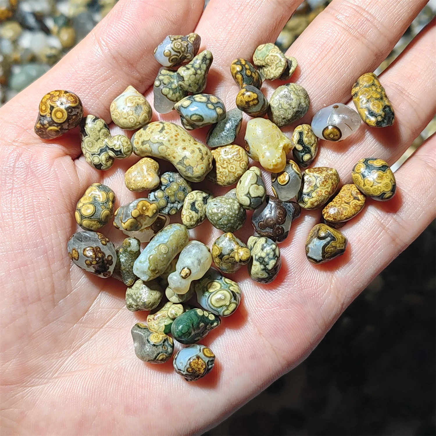 780pcs/lot Natural Gobi Agate Rough The world's strongest power stone rare special Jadeization White background Eye stones