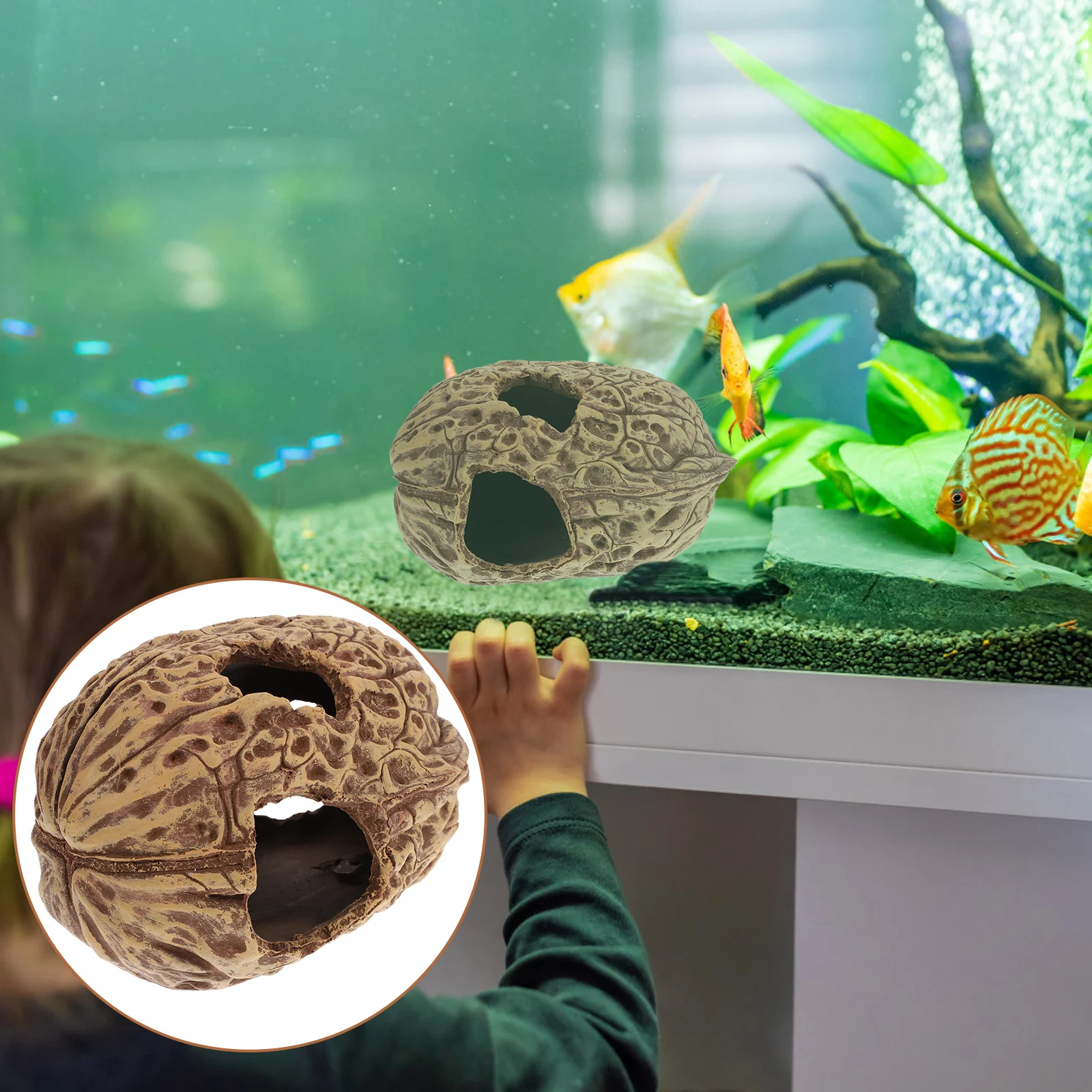 

Aquarium Walnut Hideout Resin Fish Tank Decoration Safe Ornament Aquarium Cave for Salt Fresh Water