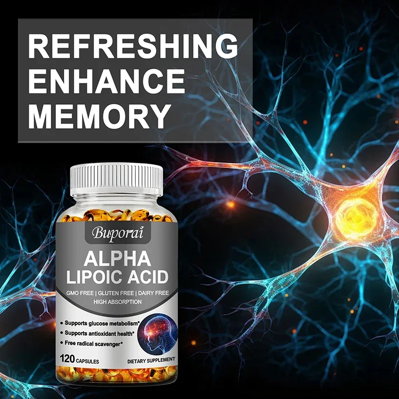 Alpha Lipoic Acid - Supports Brain and Heart Health, Improves Cognitive Function, and Relaxes Nerves