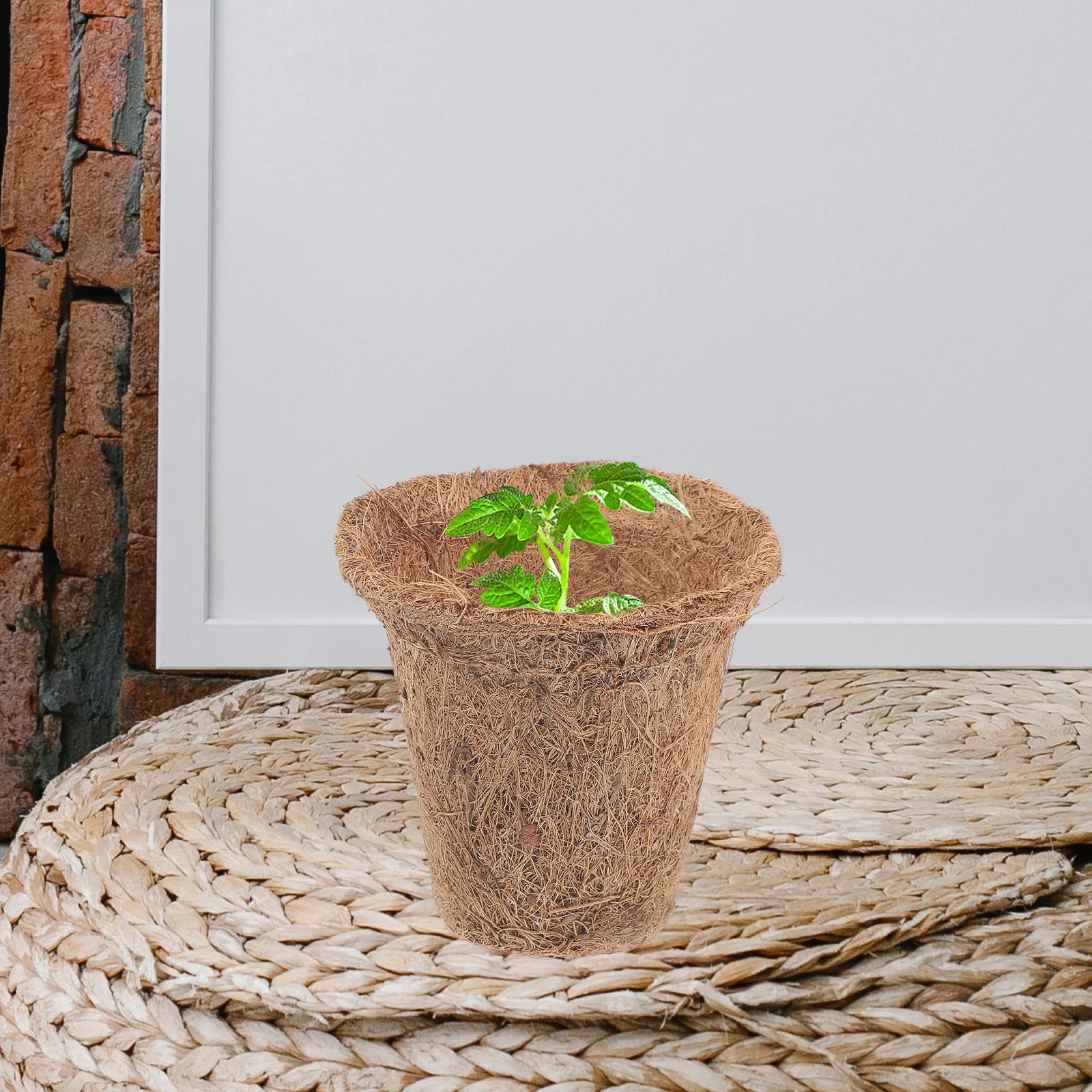 

1 set Coir Nursery Pots Plant Starter Germination Growing Containers Flowerpot Basket Soil Transplantation Practical