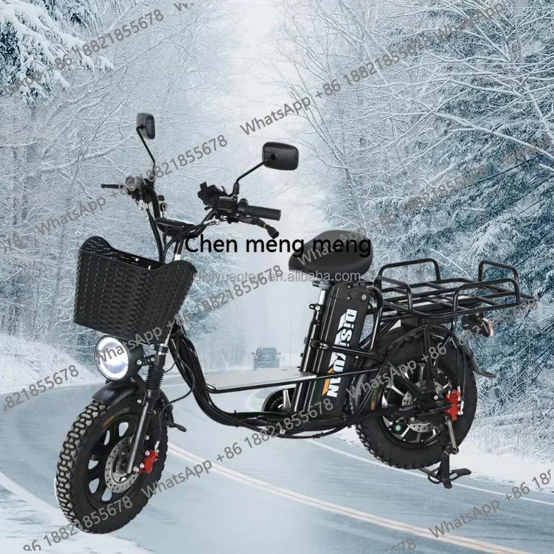 

hot selling Bike 2025 Electric Bicycle Wholesale Fatbike Ebike High Speed Electric Bike 800W 60V 30Ah Electric