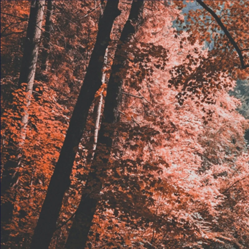 

Профессиональный озоновый отпариватель для парикмахерских с микротуманом и подставкой для волос SPA, стоячий отпариватель для волос O3