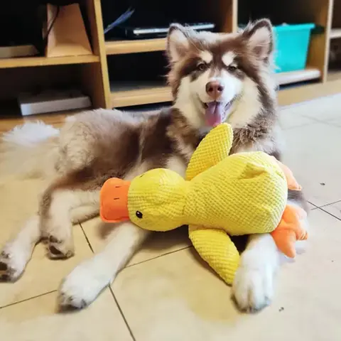 Hot-Selling Cute Pet Toys, Stomping Ducks, Biting Teeth, Cleaning Big Dogs, Interactive Entertainment, Puppy Boredom, Plush Toys