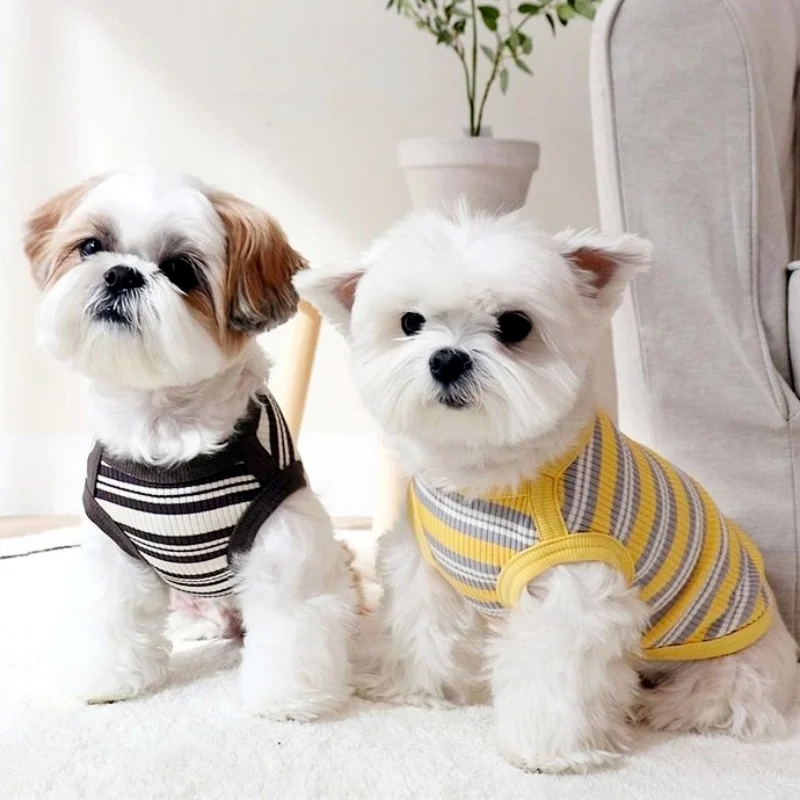 Summer Pet Dog Clothes for Small Dogs Fashion Dog Vest Cute Puppy Thin Shirt Bear Print Cat Vest Chihuahua Clothes Pet Clothing