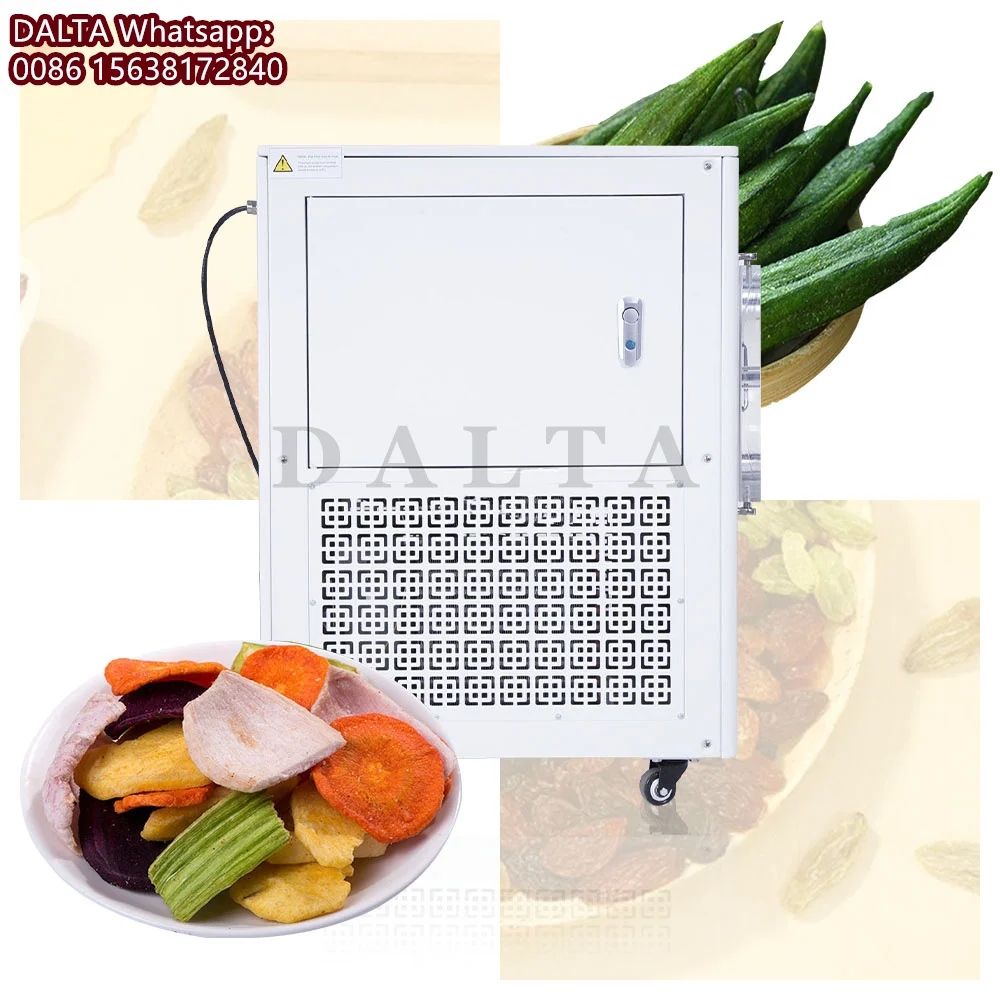 Vegetables Fruit Vacuum Freeze Dryer Mini Lyophilizer Food Freeze Drying Food Dehydrator for Household