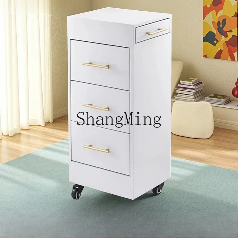 SM hairdresser tools trolley salon barber shop storage cabinet multi-purpose mirror table rack