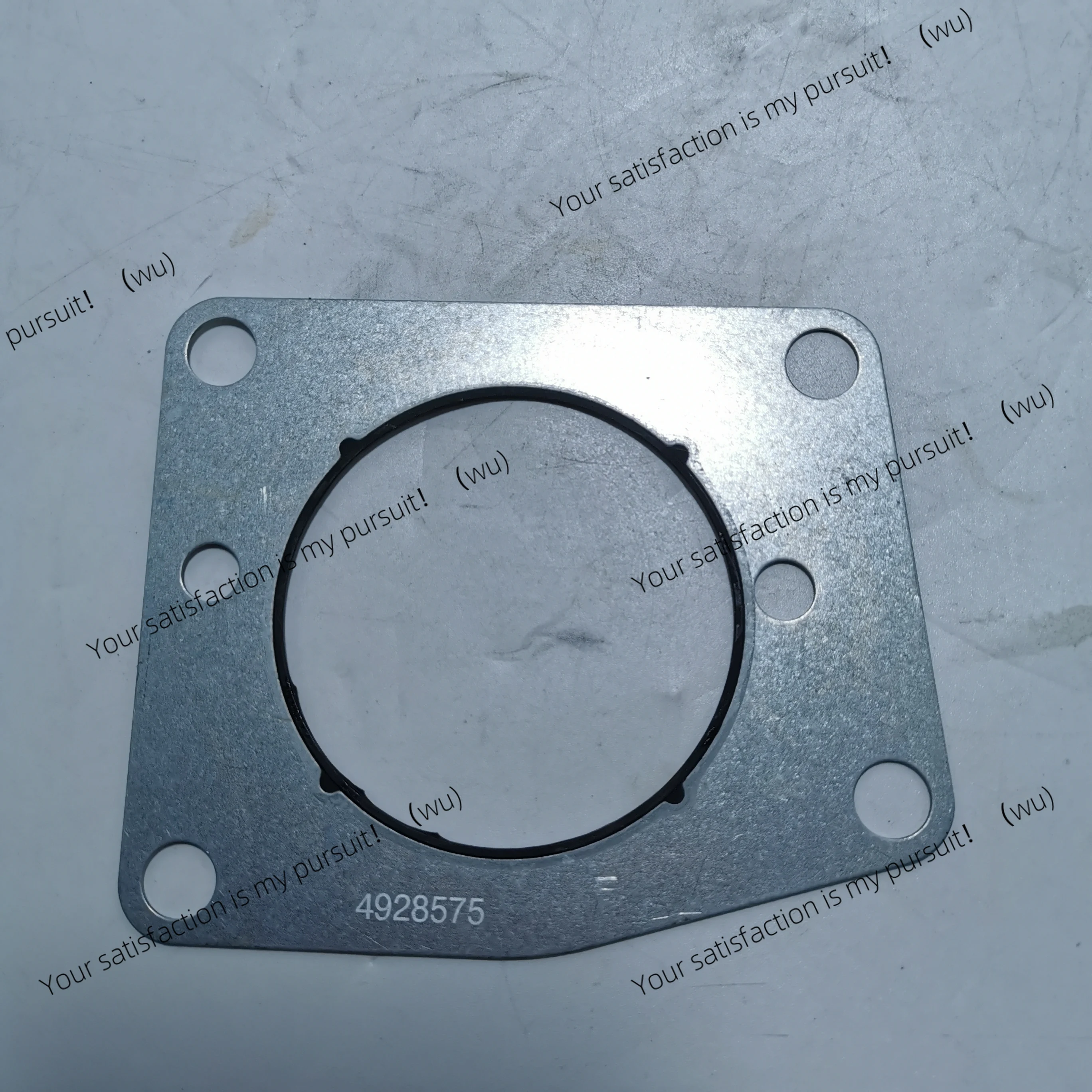 For Fuel Pump Service Kit, CP2, CCR1600 3973228 4921431 4088604 49544200531117167451150