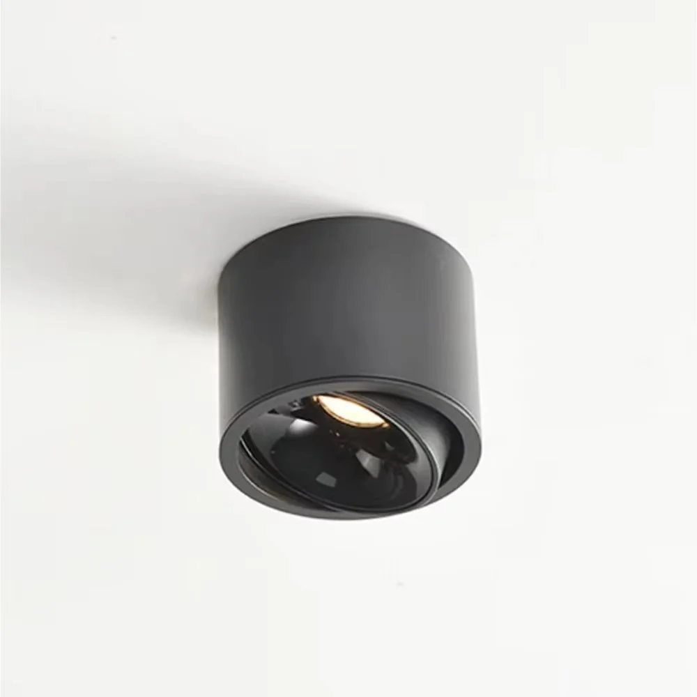 Ultradunne opbouw roterende anti-glare downlight COB-plafondlamp dimbare LED-spots AC220V woonkamer slaapkamer - afbeelding 1