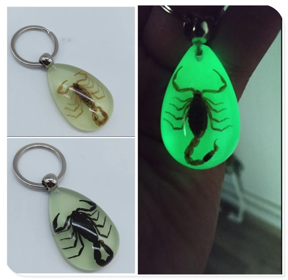 Motorcycle style scorpion luminous wear key chain crafts accessories for YAMAHA TTR600 XT250X TRICKER DT230LANZA