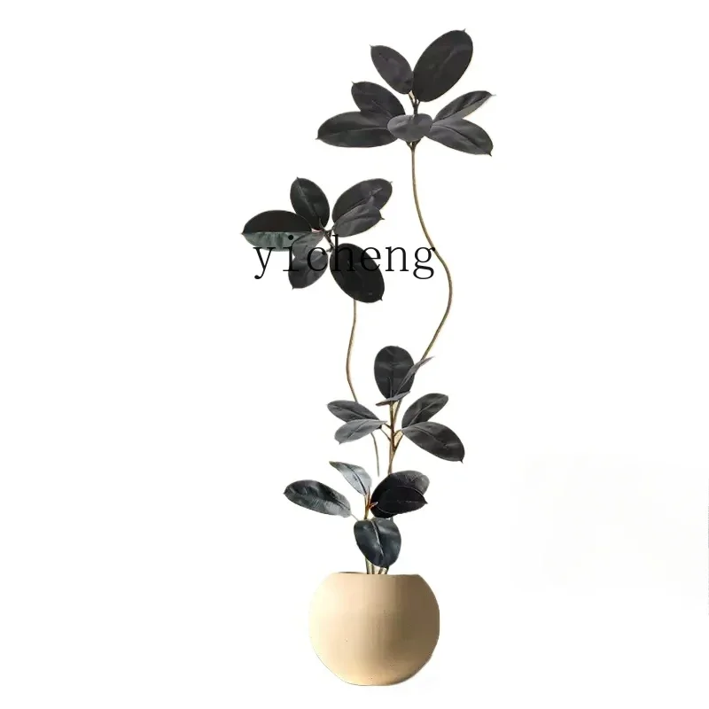 

FF Large living room floor ornament indoor fake plant black diamond rubber tree simulated green plant