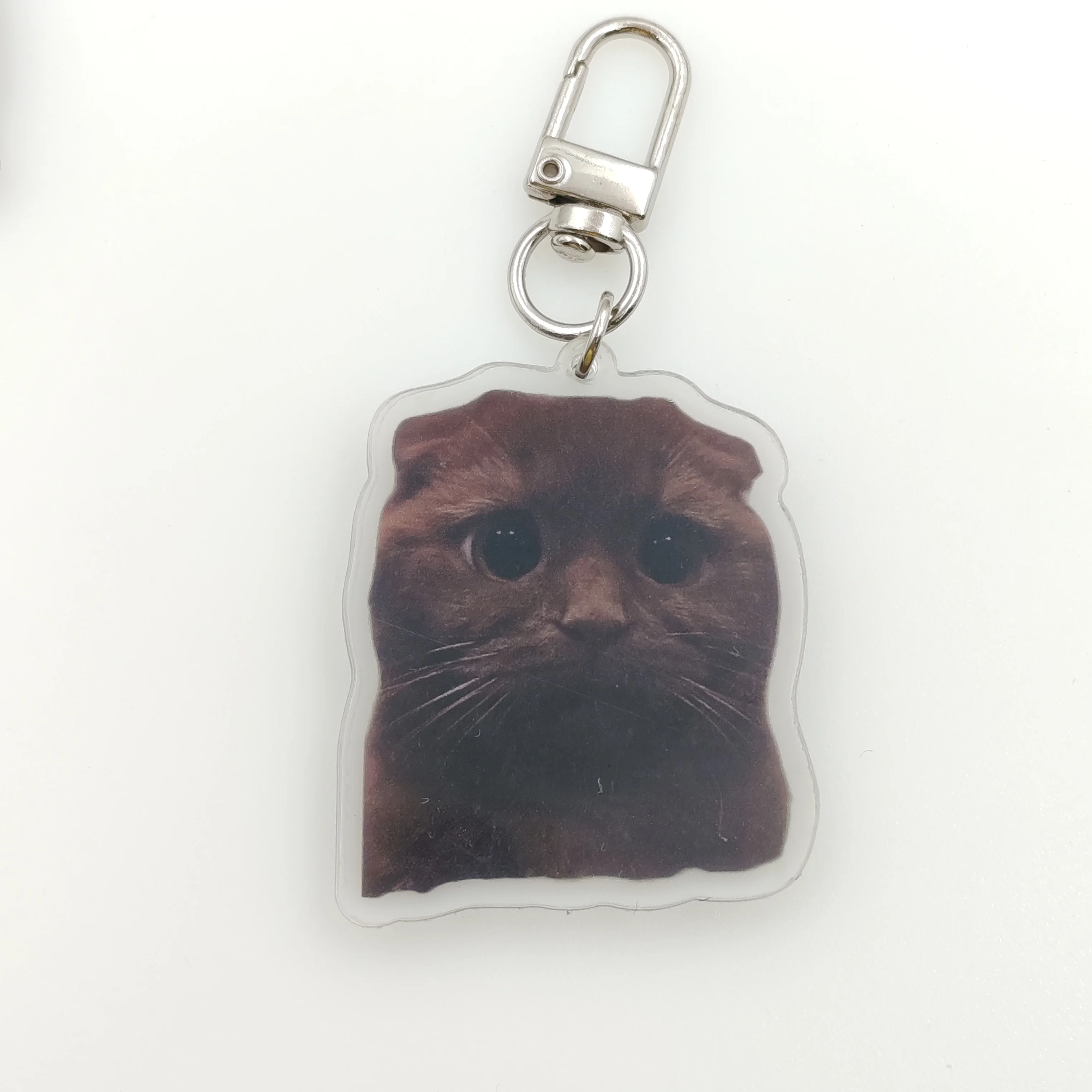 Whimsy Cat Acrylic Cat Keychain Charms - Assorted Angry Cat Designs, Durable Plastic Keyring Pendant for Backpacks, Cute Gift