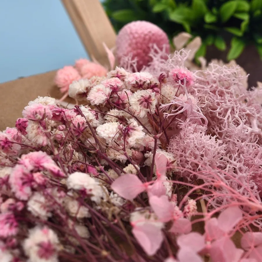 달라란 3팩 압화 캔들 제작용 DIY 건조 꽃 여러 종류의 천연 압화 다채로운 장식용 건조 꽃