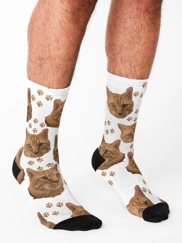 Jonesy Paws orange cat tabby rusty kitty Socks luxury Thermal man winter Male Socks Women's