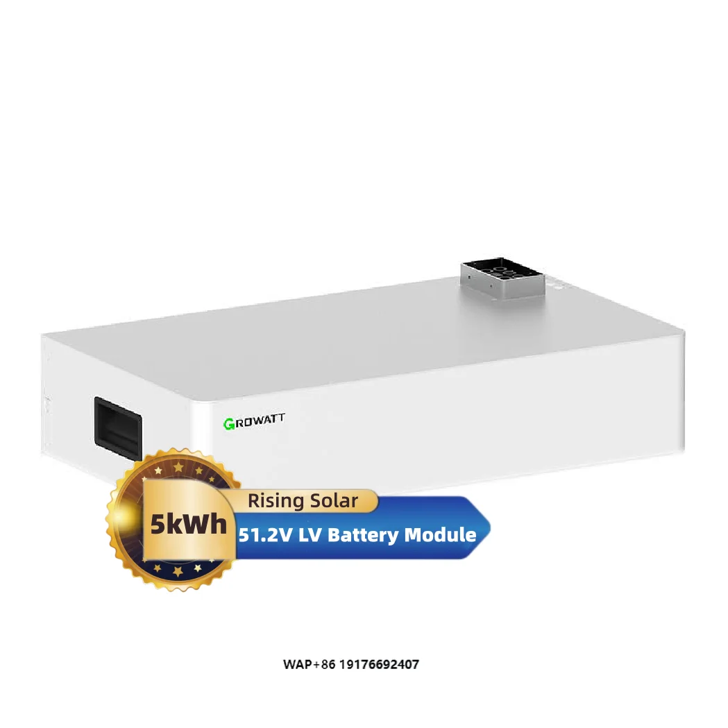 'Growatt Axe 50.0L Axe LV Battery 50kwh LFP Internal Plug Connection Battery System for Solar Energy Power System