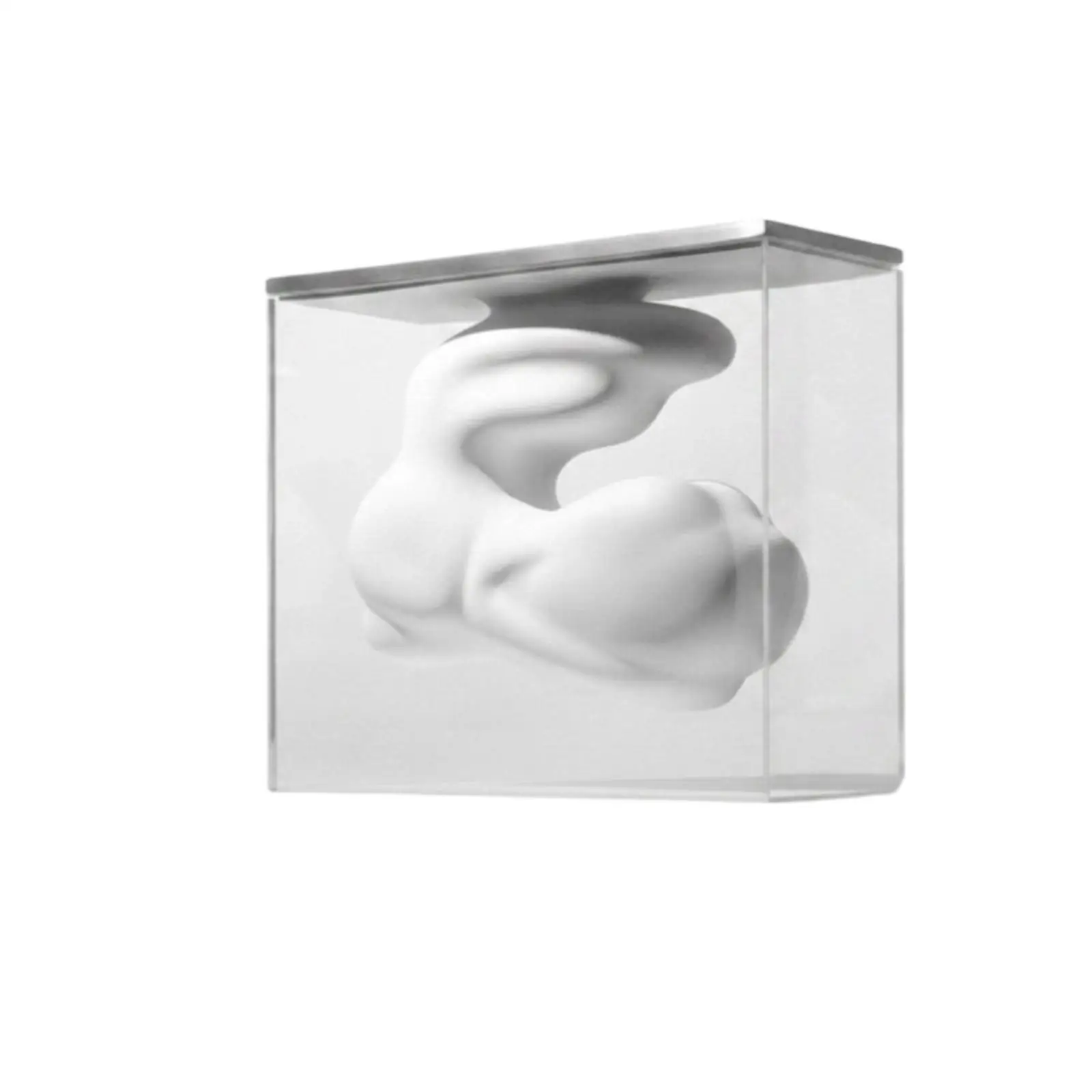 Clear Acrylic Vase Ornament Home Decor Minimalist Modern for Desktop