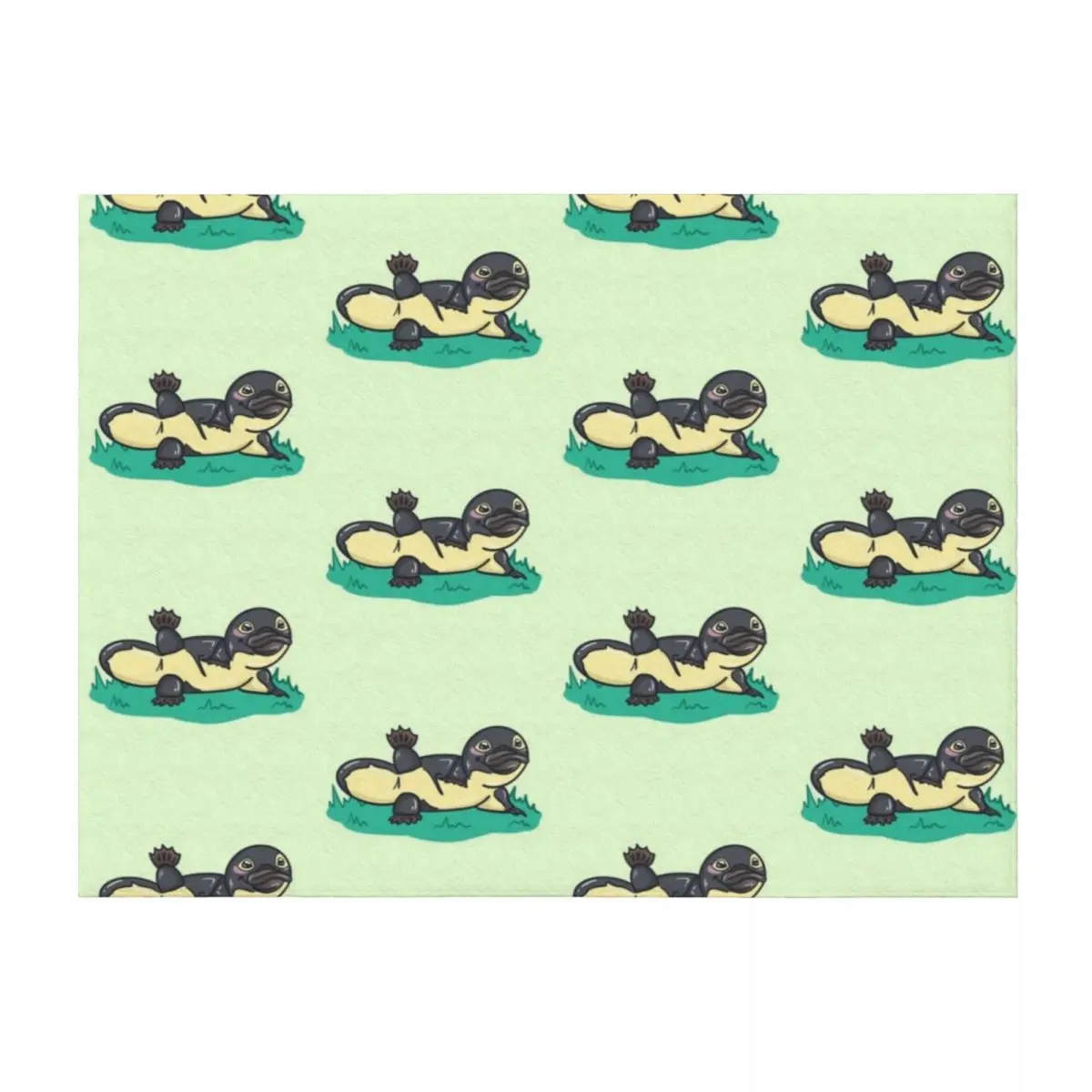 

Platypus Throw Blanket Custom Softest Beach Soft Plaid Blankets
