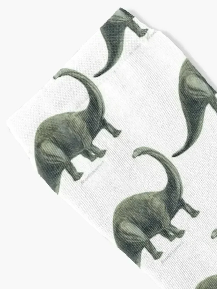 Brontosaurus Socks funny gift christmas stocking gift sport Socks For Men Women's