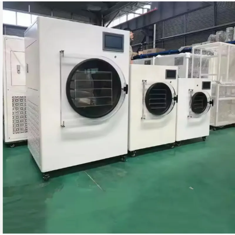10Kg Commercial Equipment Vacuum Freeze Dryer Machine Milk Freeze Dryer