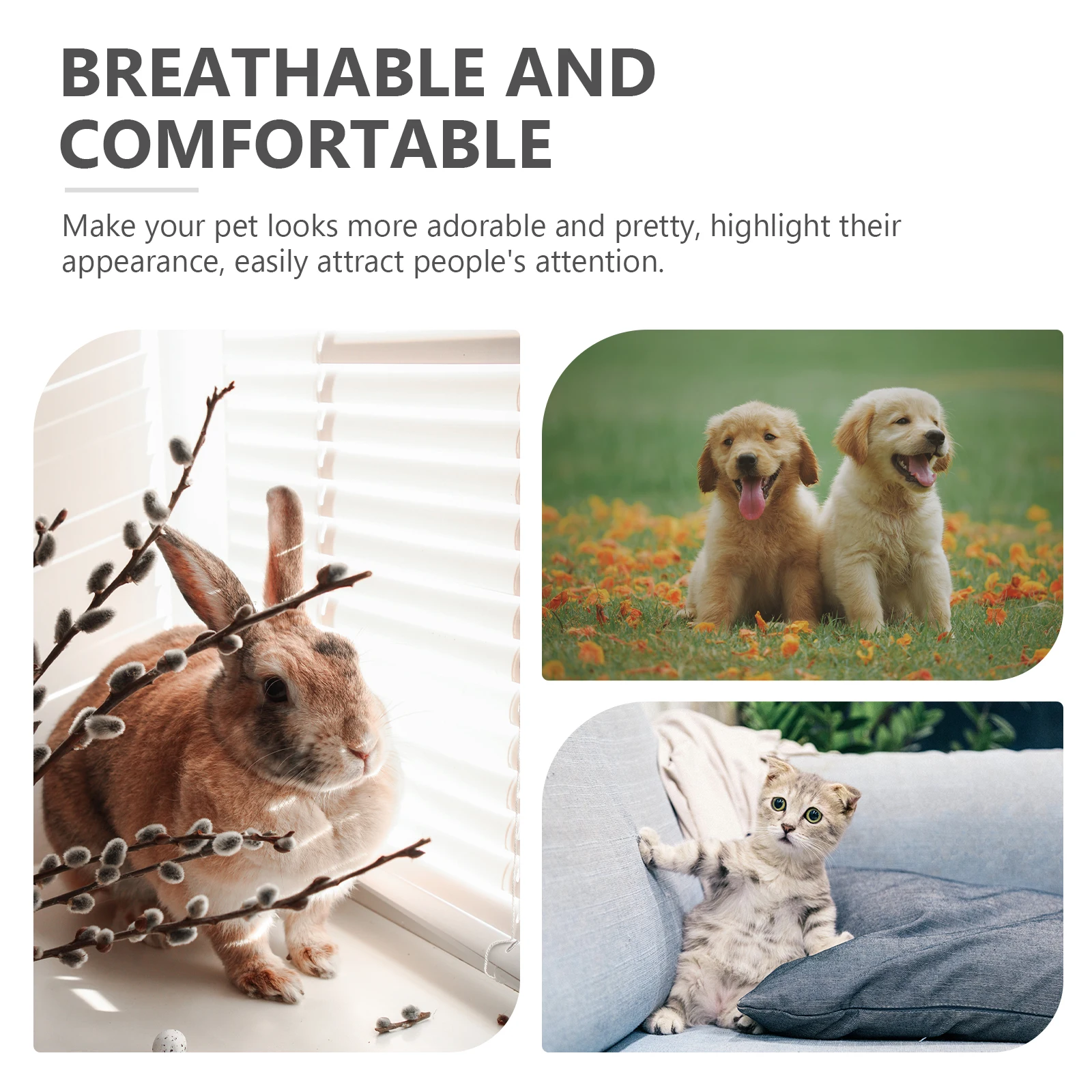 

Pet Clothes Adorable Puppy Hoodie Bear Clothing Small Dog Cat Winter M Yellow Carrot Comfortable Warm