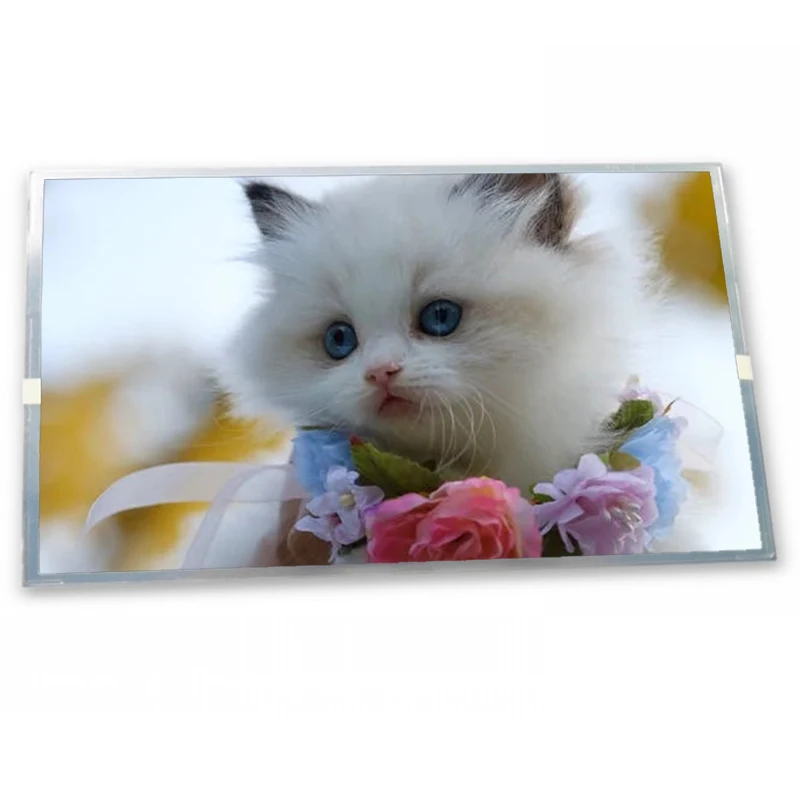 

M121GNS3 R0 12,1-дюймовая TFT-LCD панель с разрешением 800*600, поставка Zhiyan