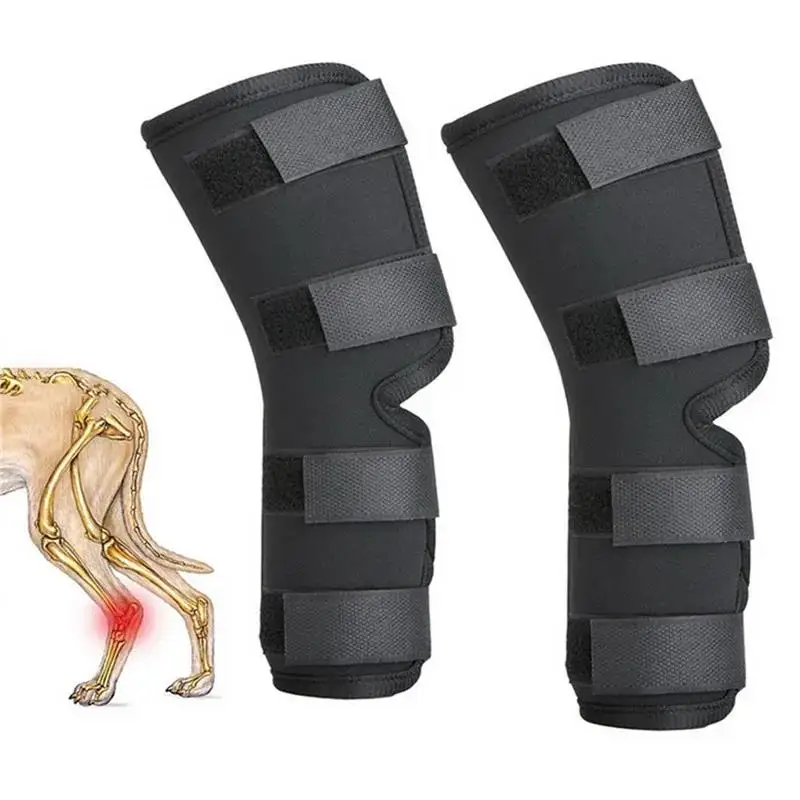 1 par de rodilleras para mascotas: envolturas para articulaciones de hock para recuperación de lesiones de piernas de perro y protección contra la movilidad