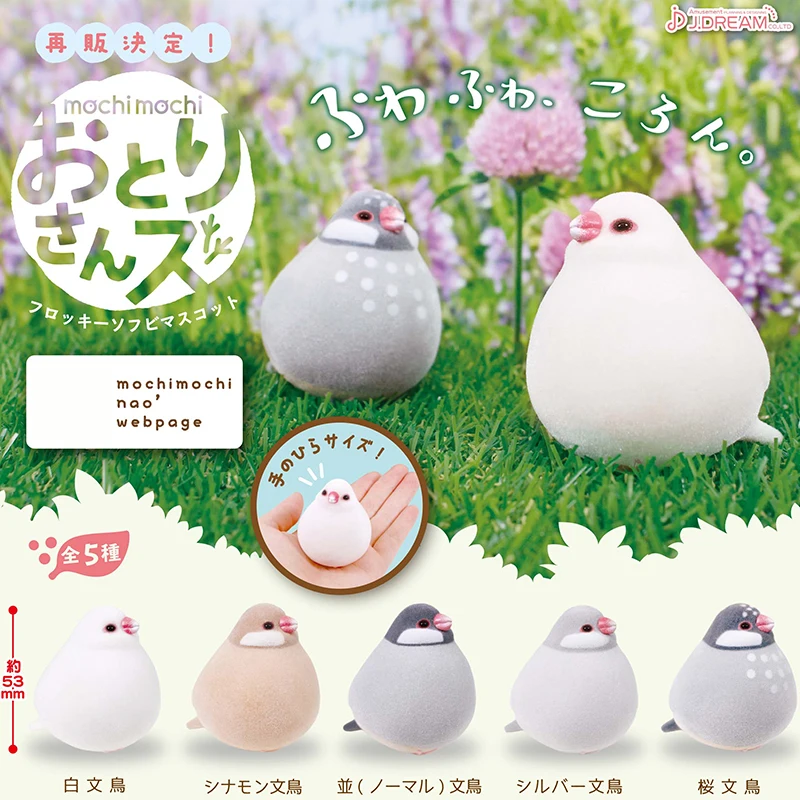 

Genuine Gacha Figure Small Scale Model Flocked Soft Bird Twisting Eggs White Java Sparrow Lonchura Cantans Action Figure Toys