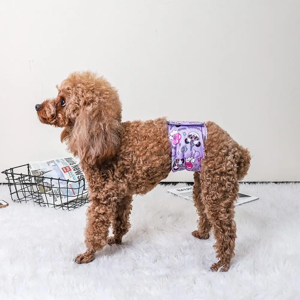 Pet Sanitary Pants Adjustable Washable Fastener Tape Absorbent Leak-Proof Male Dog Physiological Diaper Panties Puppy Pet Supply