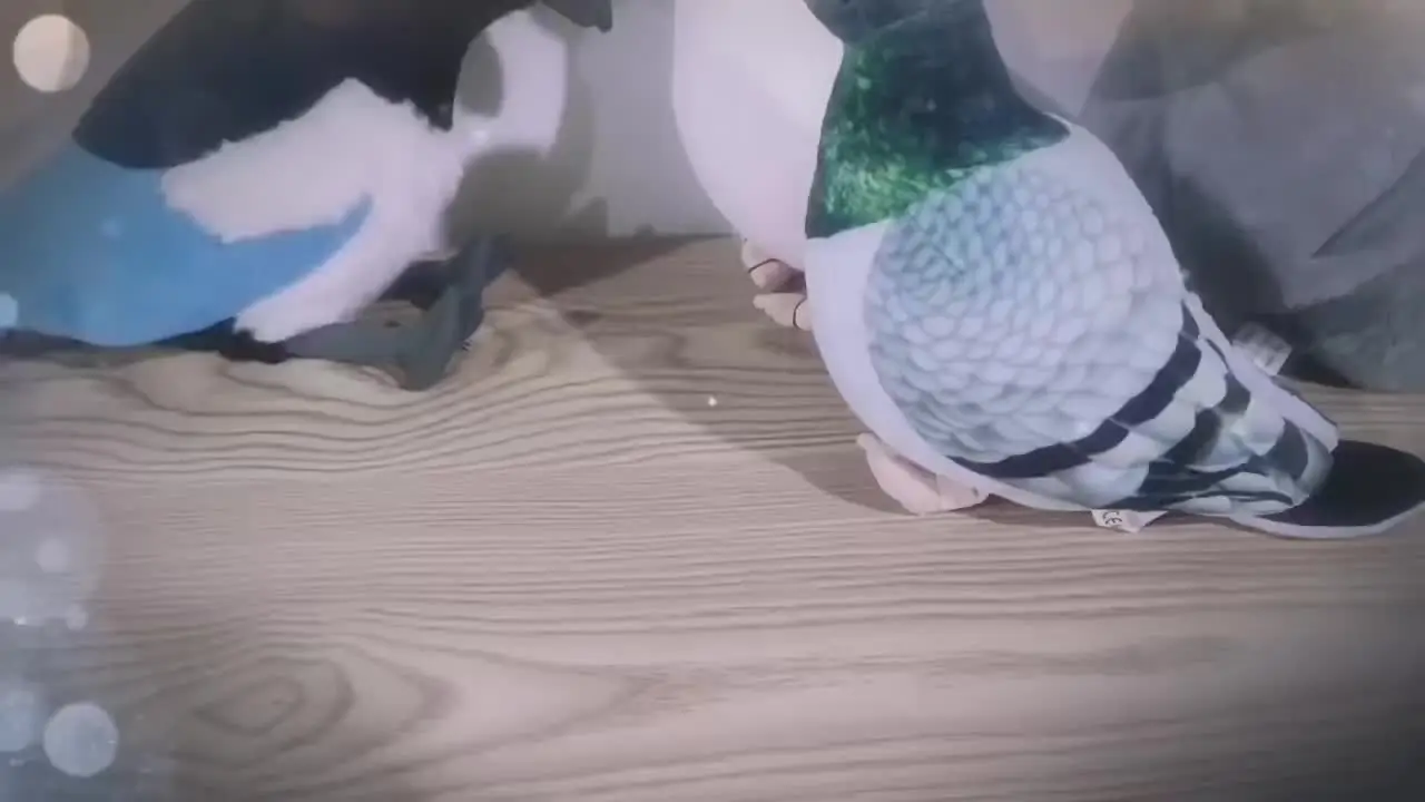 Jomewory Peluche di piccione - Giocattolo di peluche per uccelli di morbido realistico piccione roccioso | Giocattoli per uccelli simulati e divertenti da 7 pollici, cuscino giocattolo per la