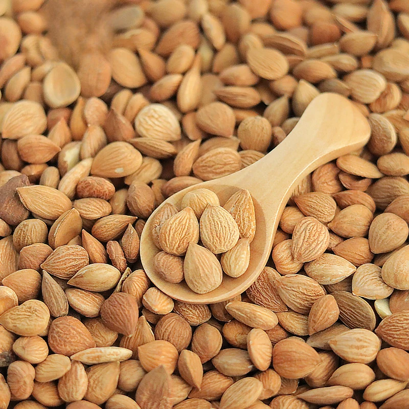 วัตถุยาจีนอัลมอนด์เหนือ