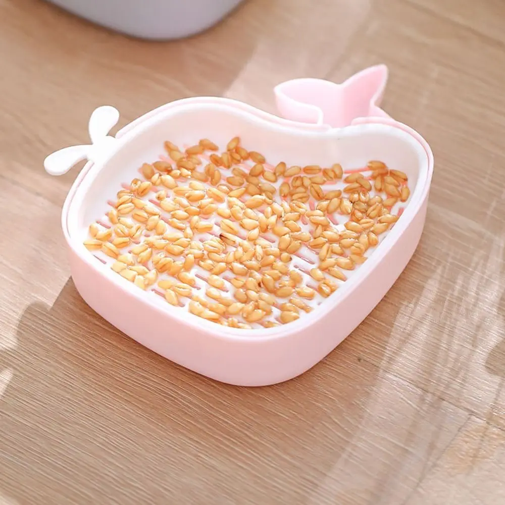 Little Whale Cultivation Sprouting Tray Reusable Cat Grass Planting Hydroponic Sprouting Plate Multi functional Convenient